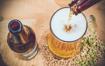 ¿Tu negocio necesita destacar?